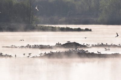 Guide des Sentiers de l’Espace Naturel Sensible